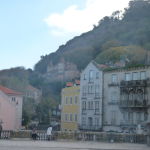 P1080047-w740_h555